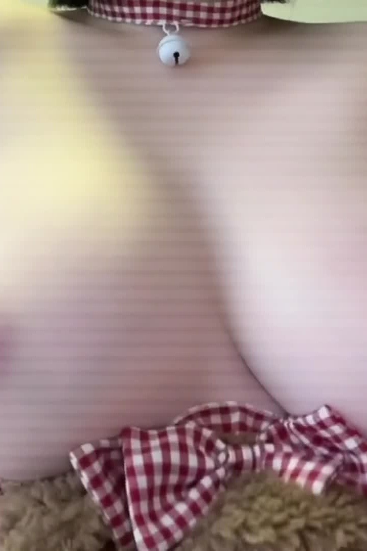 Saizneko 68